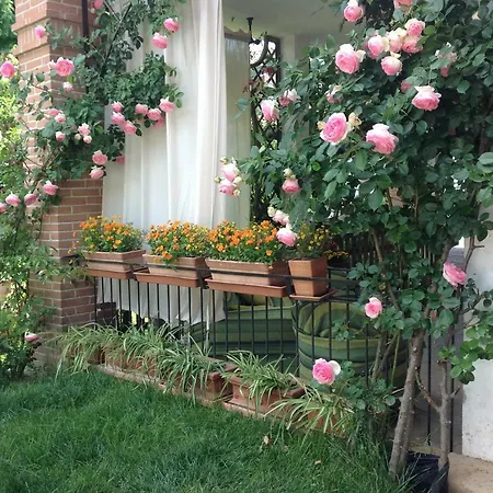 Casa Lavazza