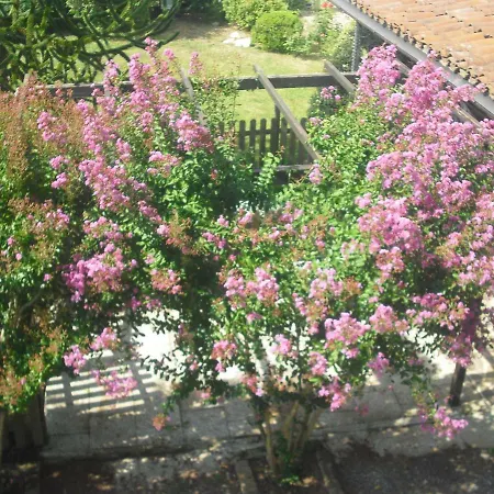 Casa Lavazza
